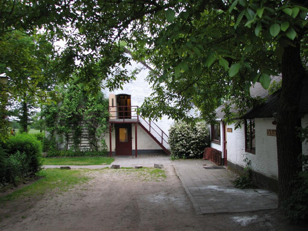 IMG_6201 (Large).jpg